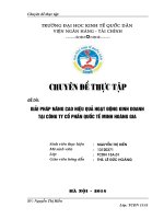 Giải pháp nâng cao hiệu quả hoạt động kinh doanh tại công ty Cổ phần Quốc tế Minh Hoàng Gia