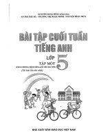 BÀI TẬP CUỐI TUẦN TIẾNG ANH TẬP 1