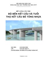 ĐỀ CƯƠNG ôn THI độ bền kết cấu và TUỔI THỌ kết cấu bê TÔNG NHỰA