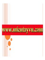 Plasma phóng điện khí - Bộ phân tích năng lượng bản cong