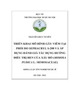 Triển khai mô hình gây viêm tại phổi do sephacryl s 200 và áp dụng đánh giá tác dụng hướng điều trị hen của xấu hổ (mimosa pudica l )