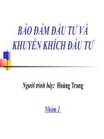 thuyết trình bảo đảm đầu tư và khuyến khích đầu tư