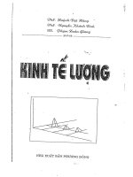 giáo trình kinh tế lượng