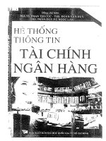 HỆ THỐNG THÔNG TIN TÀI CHÍNH NGÂN HÀNG