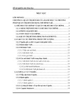 Quản trị rủi ro bằng mô hình VaR và phương pháp sử dụng Copula điều kện