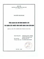 Tổng quan các mô hình nghiên cứu tác dụng của thuốc trên chức năng sinh sản nam