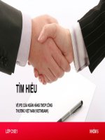 tiểu luận đề tài hiểu về IPO của Ngân hàng Thương mại Cổ phần Công thương Việt Nam (VietinBank)