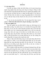 Thiết kế bộ điều khiển bền vững tốc độ động cơ một chiều 