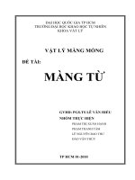 Vật lý màng mỏng -Diễn giải màng từ