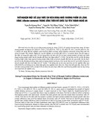Thử nghiệm một số loại thức ăn viên dùng nuôi thương phẩm cá lăng Vàng (Mystus nemurus) trong lồng trên hồ chứa tại Yên Thành-Nghệ An