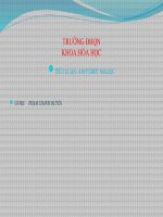 TIỂU LUẬN ANHYDRIT MALEIC