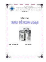 tiểu luận bao bì kim loại