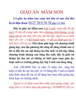 Giáo án mần non lớp lá -Cô mai