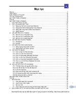 windows server full tiếng việt