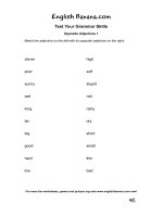 Opposite adjectives   test your grammar skills 
