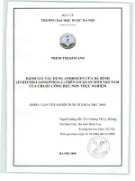 Đánh giá tác dụng androgen của bá bệnh (eurycoma longifolia j ) trên cơ quan sinh sản nam của chuột cống đực no thực nghiệm