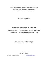 Nghiên cứu giải trình tự vùng gen trong hệ gen ty thể của loài sán lá ruột nhỏ haplorchis taichui phân lập tại việt nam