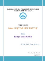 bí mật kinh doah trong luật sở hữu trí tuệ