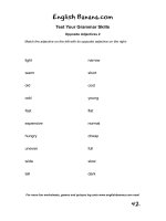 Opposite adjectives 2   test your grammar skills 