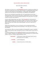 BÀI LUẬN TIẾNG ANH HAY cats 