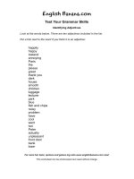 Identifying adjectives   test your grammar skills 