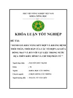Đánh giá khả năng kết hợp và kháng bệnh thối thân, thối bắp của các tổ hợp lai giữa dòng Mo17 và B73 với vật liệu trong nước dựa trên kiểu hình và chỉ thị phân tử
