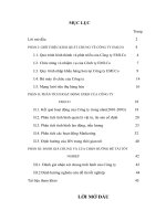 Tiểu luận phân tích hoạt động kinh doanh công ty EMI