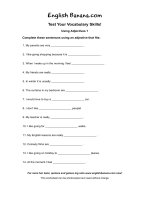 Using adjectives 1   test your grammar skills 