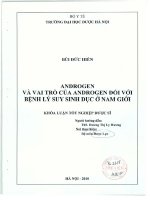 Androgen và vai trò của androgen đối với bệnh lý suy sinh dục ở nam giới