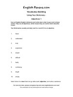 Using your dictionary   adjectives 1 