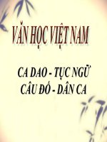 văn học việt nam  về   CA DAO - TỤC NGỮ
