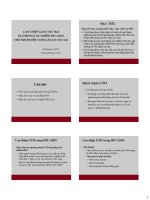 CAN THIỆP GIẢM tác hại dự PHÒNG lây NHIỄM HIV AIDS CHO NHÓM đối TƯỢNG NGUY cơ CAO