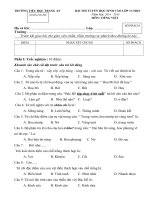 BÀI THI TUYỂN học SINH vào lớp 3 CHỌN môn TIẾNG VIỆT 