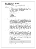 Chiết xuất đường stevioside từ Cỏ Ngọt