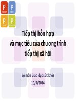 TIẾP THỊ hỗn hợp và mục TIÊU của CHƯƠNG TRÌNH TIẾP THỊ xã hội 