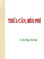 THỪA cân, béo PHÌ TS BS PHẠM vân THÚY