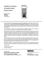 handbook of biomass downdraft gasifier