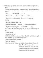 TUYỂN tập bộ đề THI học SINH GIỎI môn TIẾNG VIỆT lớp 5