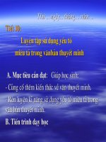 Giáo án bồi dưỡng ngữ văn 9 tiết 10 luyện tập sử dụng yếu tố miêu tả trong văn bản thuyết minh (9) 