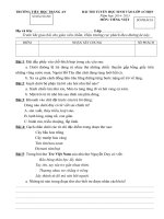 BÀI THI TUYỂN học SINH vào lớp 4 CHỌN môn TIẾNG VIỆT 