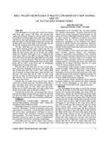 Kết quả điều trị gãy monteggia ở người lớn bằng kết hợp xương nẹp ốc và tái tạo dây chẳng vòng tại BV chấn thương chỉnh hình TP.HCM