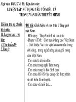 Giáo án bồi dưỡng ngữ văn 9 tiết 10 luyện tập sử dụng yếu tố miêu tả trong văn bản thuyết minh (11) 