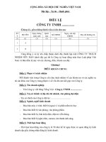 Mẫu điều lệ công ty TNHH 2 thành viên