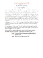 BÀI LUẬN TIẾNG ANH HAY snatch thieves write a story that involves a snatch thief 