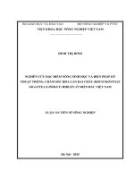 Luận án tiến sĩ nghiên cứu đặc điểm nông sinh học và biện pháp kỹ thuật trồng, chăm sóc hoa lan đai châu (rhynchostylis gigantea (lindley) ridley) ở miền bắc việt nam
