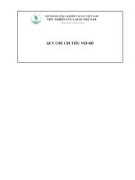 quy chế chỉ tiêu nội bộ của tập đoàn công nghiệp cao su việt nam