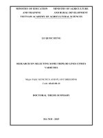 RESEARCH ON SELECTING SOME TRIPLOD LINES CITRUS VARIETIES