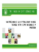 VAI TRÒ, NHU cầu,hấp THU, CHUYỂN hóa và NGUỒN THỰC PHẨM CUNG cấp PROTEIN 