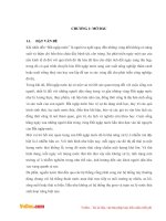 Nghiên cứu và cải thiện hệ thống đất ngập nước trong việc xử lý nito và photpho bằng cây bồn bồn