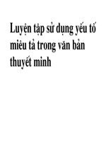 Giáo án bồi dưỡng ngữ văn 9 tiết 10 luyện tập sử dụng yếu tố miêu tả trong văn bản thuyết minh (6) 